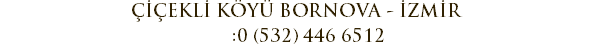 ÇİÇEKLİ KÖYÜ BORNOVA - İZMİR :0 (532) 446 6512